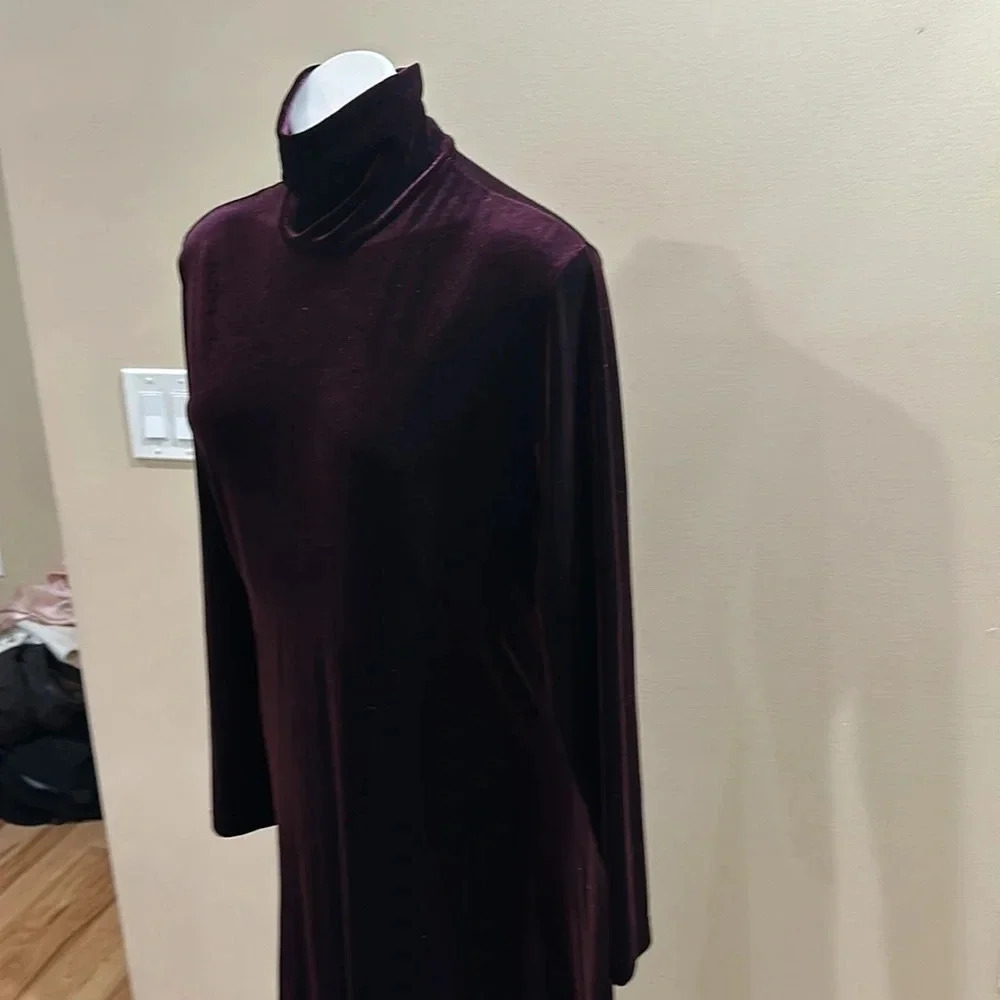 Amanda Smith
90s burgundy velvet long sleeve dress w/ turtle neck - Picture 4 of 9